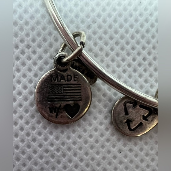 RETIRED: Alex and Ani | Queens Crown charm bracelet. - Picture 3 of 15